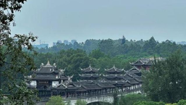 四川成都出發+樂山大佛+黃龍溪等包車一日遊