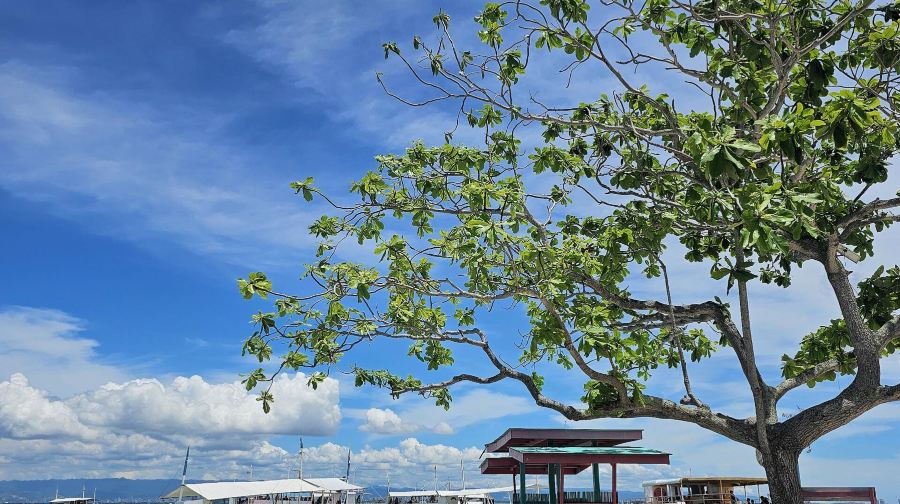 菲律賓宿霧資生堂島+娜魯蘇安島一日遊|包含浮潛 & BBQ 燒烤午餐