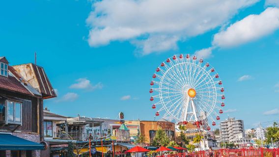 Book after consultation/Japan Okinawa Ishigaki Ocean Expo Park Shuri Castle Ryukyu Mura Cape Manzamo Kohama Island Airport/Point-to-point car service/Tour guide and driver/Private car service