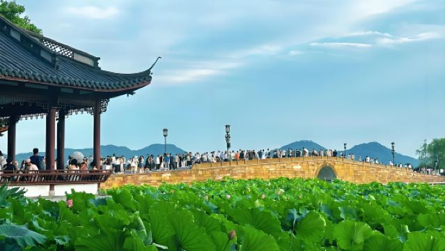 Shanghai naar Hangzhou 1-daagse kleine groepstour per trein: West Lake, Meijiawu en Qing He Fang