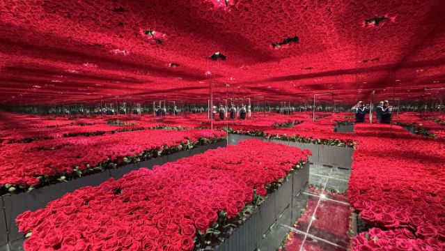 Billet d'entrée pour le Musée d'Art Stellaire Licorne de Chongqing (thèmes variés + photos faciles + espace 4D + cascade de rideaux colorés + espace planétaire)