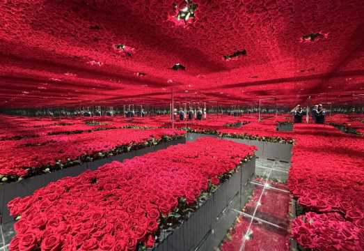 Chongqing Unicorn Starry Sky Art Museum Admission Ticket (Multiple Themes + Easy Photography + 4D Space + Colorful Curtain Waterfall + Planet Space)