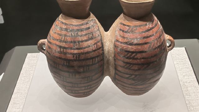 [Exclusive for Winter Break & Lunar New Year] Henan Museum Admission Ticket Booking + 2-Hour Expert Live Guide