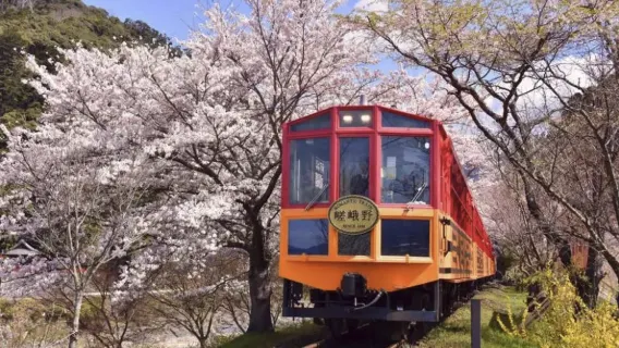 Servizio di prenotazione per la carrozza n. 5 "Fukutomi" del treno panoramico di Arashiyama a Kyoto