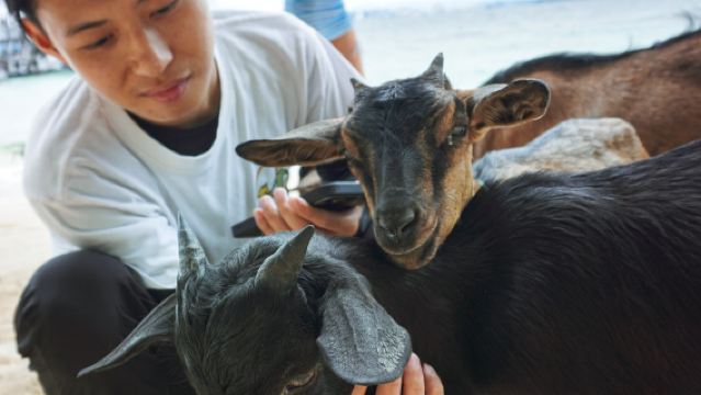 Mari Mari Dive & Lodge Sepanggar Day Tour (NO LUNCH)