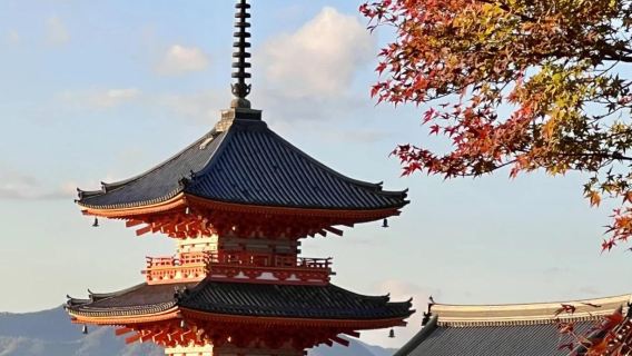 京都清水寺+三年阪二年阪+伏見稻荷大社+金閣寺一日遊