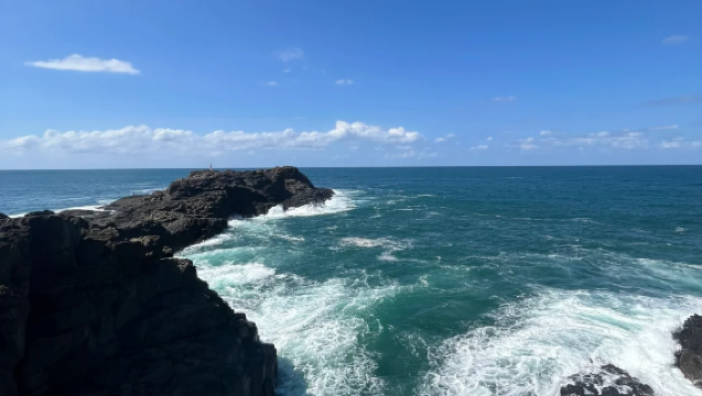 [Sydney] Lawatan Sehari Kumpulan Kecil Premium ke Wollongong Blowhole