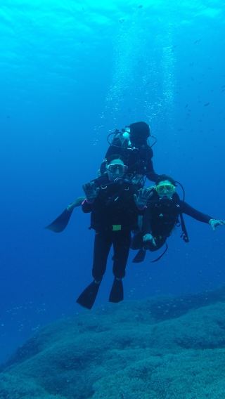 One-day snorkeling and diving experience in Kerama, Okinawa | Swim with sea turtles