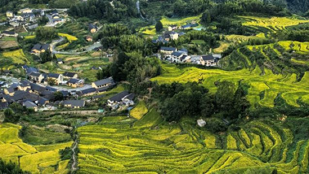 Tagesausflug von Lishui nach Yunhe in Zhejiang: Besuch der schönsten Reisterrassen Chinas mit mehrsprachigem Reiseleiter | Anpassbar