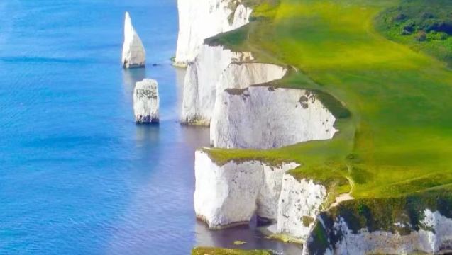 Lawatan sehari ke Tebing Putih Seven Sisters + Brighton di London, UK [Sewaan peribadi dalam bahasa Cina/penjemputan dari pintu/penyesuaian tersedia]