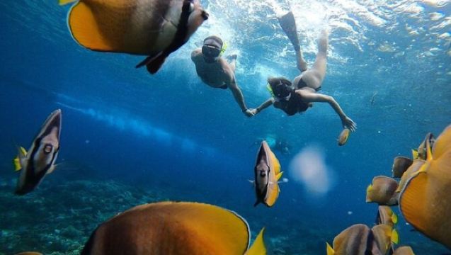 Bali Nusa Penida 4 Spots Schnorcheln und West Island Tagesausflug