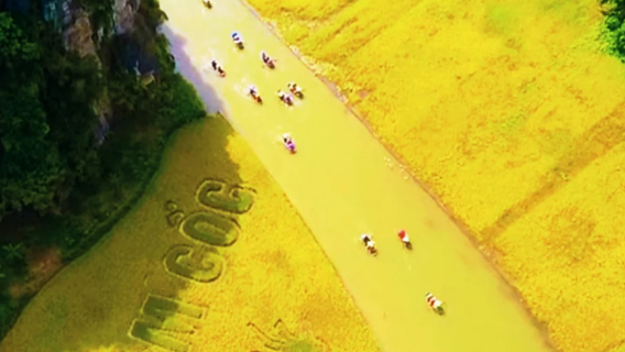 [Thuê xe riêng Vịnh Đá Vôi] Tour 1 ngày Hà Nội - Ninh Bình: Cố đô Hoa Lư + Tam Cốc + Hang Múa