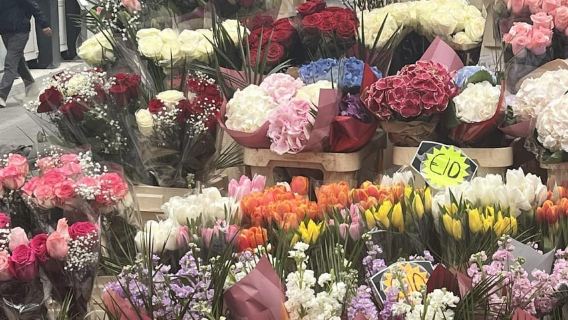 Dublin: Højdepunkter og Skjulte Kroge Gåtur