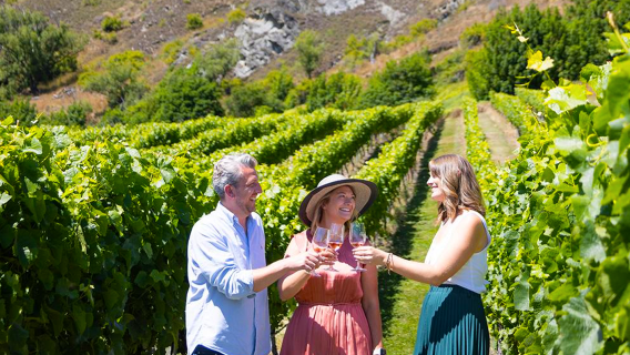 Excursión de un día a las bodegas de vino de Queenstown en Nueva Zelanda, Valle de Gibbston, ida y vuelta desde Queenstown