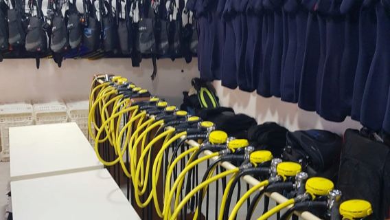 Hurghada: Esperienza di Immersione Subacquea per Principianti con Pranzo e Trasferimenti in Hotel
