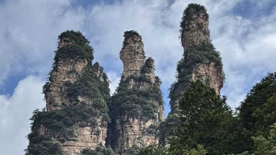 Perjalanan satu hari ke Taman Nasional Hutan Zhangjiajie, termasuk pemandu wisata bahasa asing, transportasi, tiket masuk, dan bus wisata lingkungan