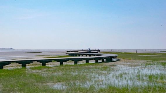 Urban Art & Nature Escape-Taichung Gaomei Wetlands