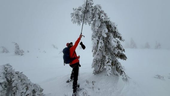 From Cluj: Winter Walking Trip on the Great Mountain