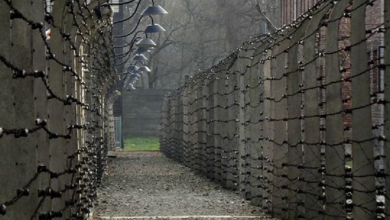 Из Кракова: экскурсия с гидом в Аушвиц-Биркенау и Соляную шахту