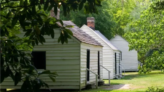 Charleston: Magnolia Plantation & Gardens Guided Tour