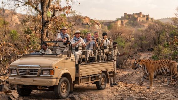 Ranthambore National Park : Safari Ticket with Pickup Option