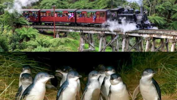 From Melbourne: Puffing Billy and Penguin Parade combo tour