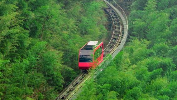 [Lawatan Sewa Peribadi Bertolak dari Changzhou] Kawasan Peranginan Pelancongan Tasik Tianmu Liyang + Lawatan Tulen Sehari Buluh Nanshan