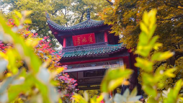 嶽麓書院半日遊【精品遊丨深層次丨精華90分鐘丨含門票代預約