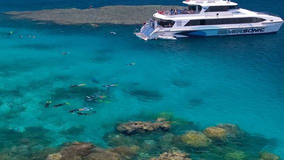 ทัวร์วันเดียว/ทัวร์หลายวัน ดำน้ำตื้นและดำน้ำลึกที่ Great Barrier Reef เมือง Cairns จากพอร์ตดักลาส