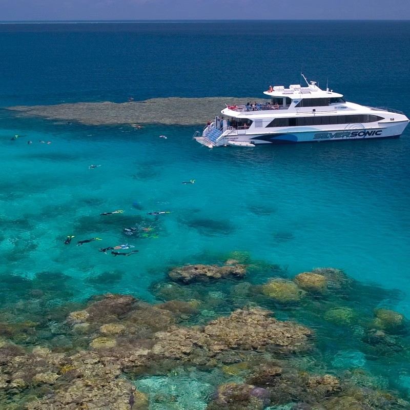 ทัวร์ 1 วันเกรตแบร์ริเออร์รีฟจากพอร์ตดักลาส แคนส์ ดำน้ำตื้น/ดำน้ำลึก