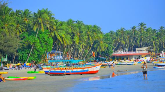 12-Day Golden Triangle Tour With Mumbai and Goa From Delhi