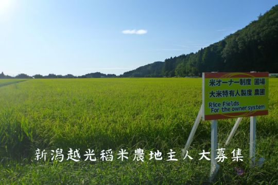 Niigata Koshihikari rice farm land owner plan
