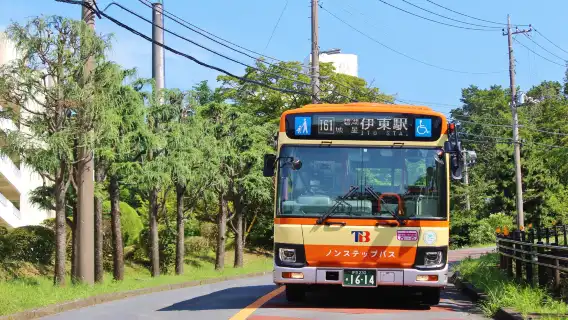 東海巴士自由暢乘通行票「伊東・伊豆高原2日券」