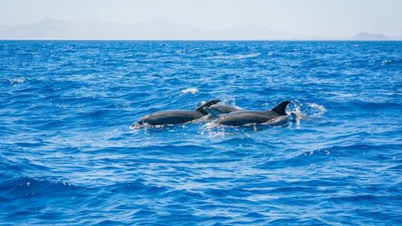 Lanzarote