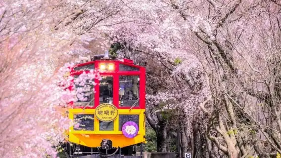 Trip.com ขอแนะนำ: Japan Arashiyama × Sanzen-in Temple รถไฟขนาดเล็กวิ่งผ่านโอซาก้าและเกียวโต