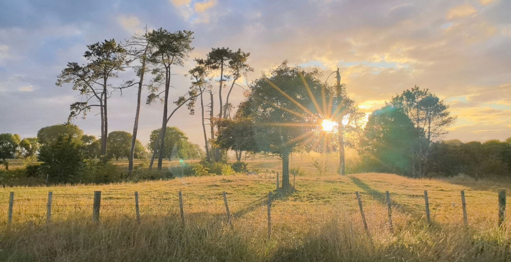 紐西蘭霍比特村＋懷託摩螢火蟲洞一日遊（散客可拼＋獨立包車）