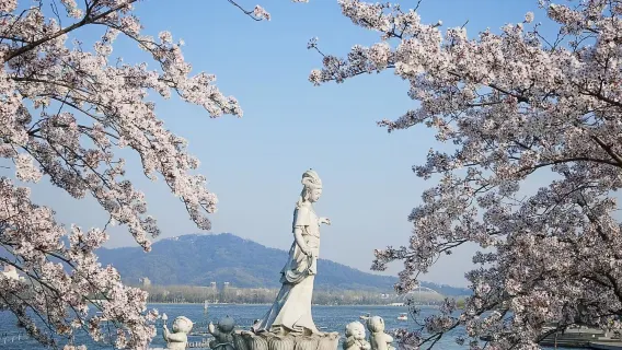 Nanjing|Xuanwu District guide/business translation/ guide/local guide service, Chinese! English! Russian! French! Other languages, consult before placing an order, match on demand