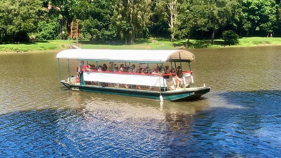 CairnsTours