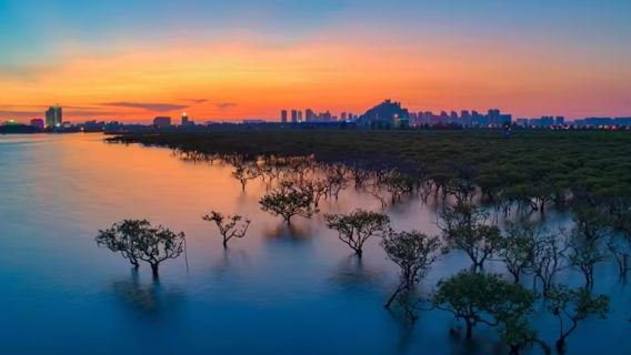 廣西北海|老街+金海灣紅樹林生態旅遊區+銀灘國家旅遊度假區