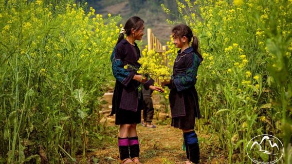 Sapa Cat Cat Village And Y Linh Ho Private Trekking Tour