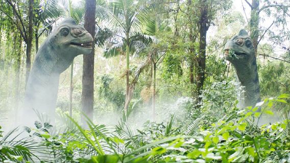 Pacchetto gastronomico presso Guangzhou Chimelong Hotel/Panda/Xiangjiang/Yinghai Hotel con opzione per colazione o cena, accesso al Safari Park, al Circo e al Parco Divertimenti.