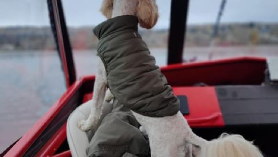 Wenatchee: Private Bootsfahrt auf dem Columbia River