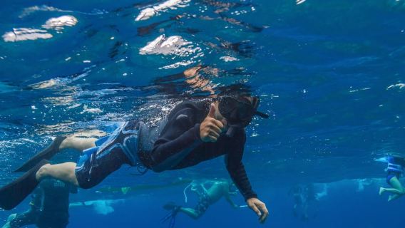 South Maui: Lanai Snorkel & Dolphin Watch from Maalaea