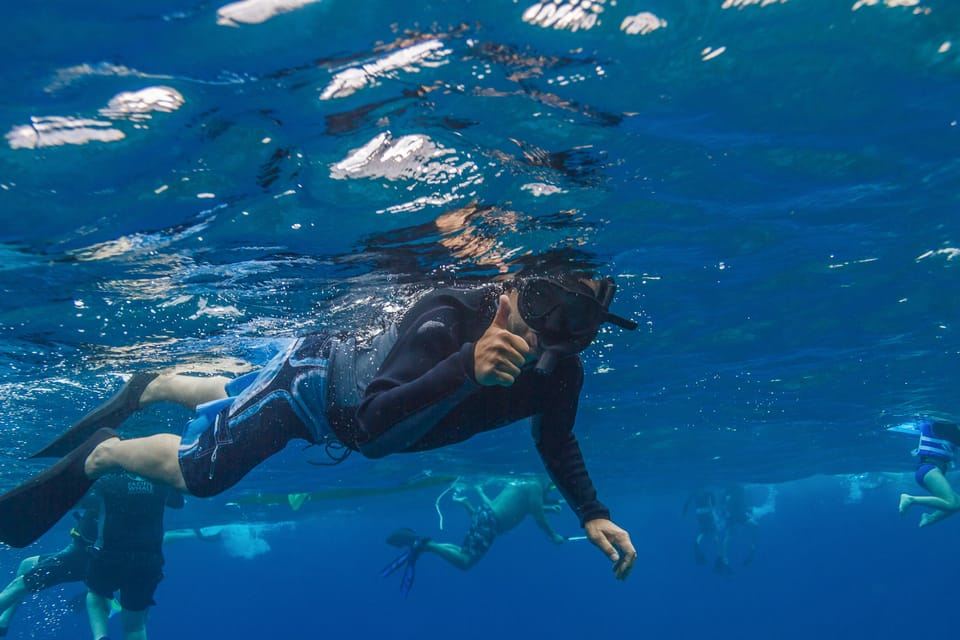 Maui: snorkeling a Lanai e osservazione dei delfini con pranzo