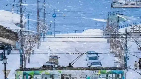 北海道神威岬+島武意海岸+小樽運河一日遊【 訂製包車團】