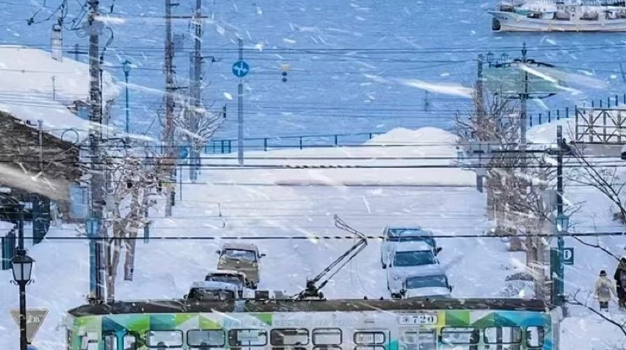 北海道神威岬+島武意海岸+小樽運河一日遊【 訂製包車團】