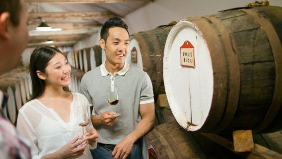 南澳巴羅莎酒莊一日遊【11人小團+中文司導+市區飯店接駁】