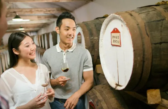 南澳巴羅莎谷酒莊一日遊【11人中文小團+市區酒店接送】