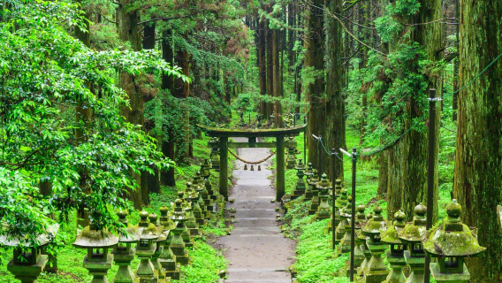 Excursión de un día al Santuario Kamishikimi Kumanoimasu en Miyazaki (Kyushu, Japón), Takachiho Gorge y el Santuario Amano Iwato