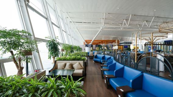 Accesso alla lounge SH dell'aeroporto di Hanoi (voli nazionali e internazionali)